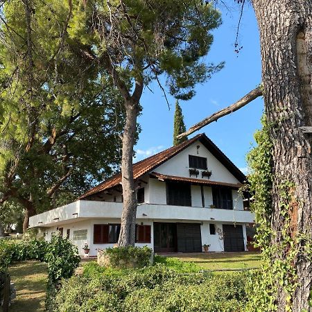 Wild Oaks Cottage クリオピギ エクステリア 写真