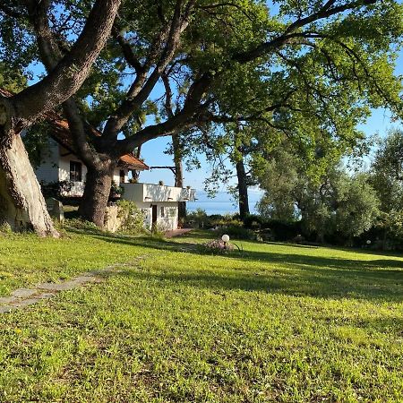 Wild Oaks Cottage クリオピギ エクステリア 写真