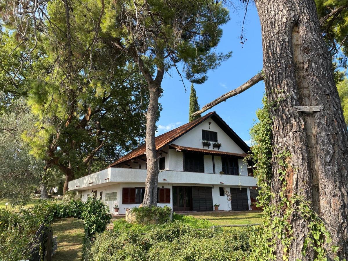 Wild Oaks Cottage クリオピギ エクステリア 写真