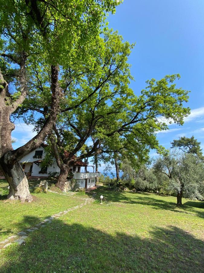 Wild Oaks Cottage クリオピギ エクステリア 写真