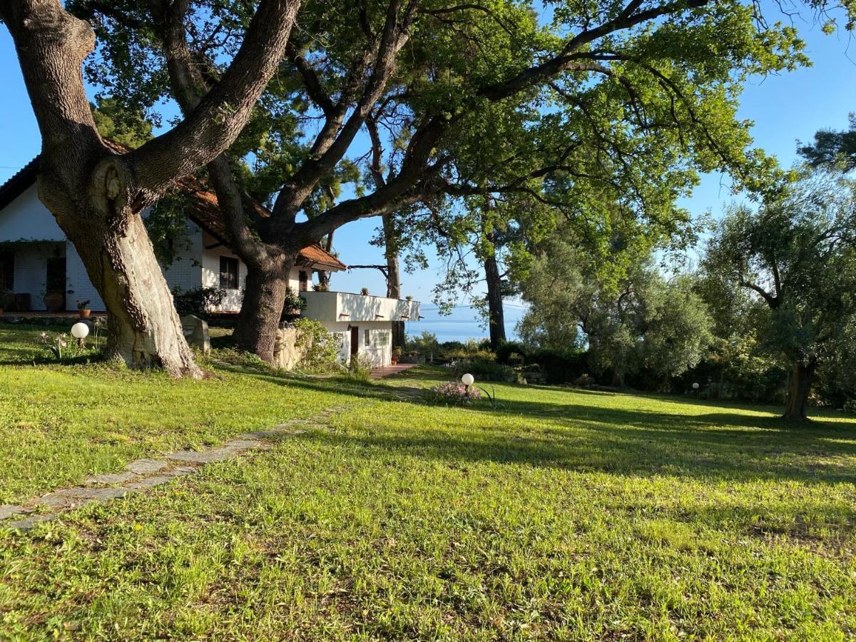 Wild Oaks Cottage クリオピギ エクステリア 写真