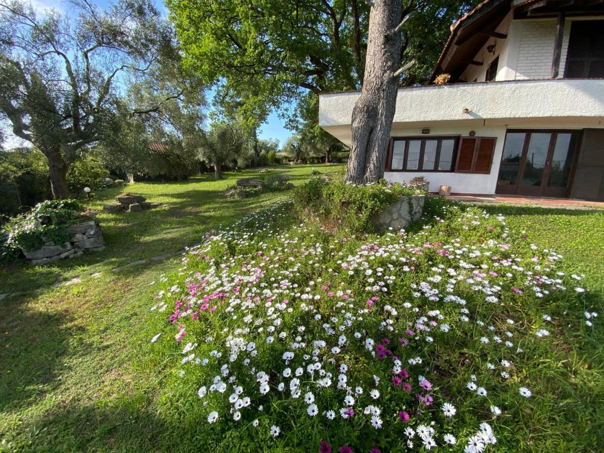 Wild Oaks Cottage クリオピギ エクステリア 写真
