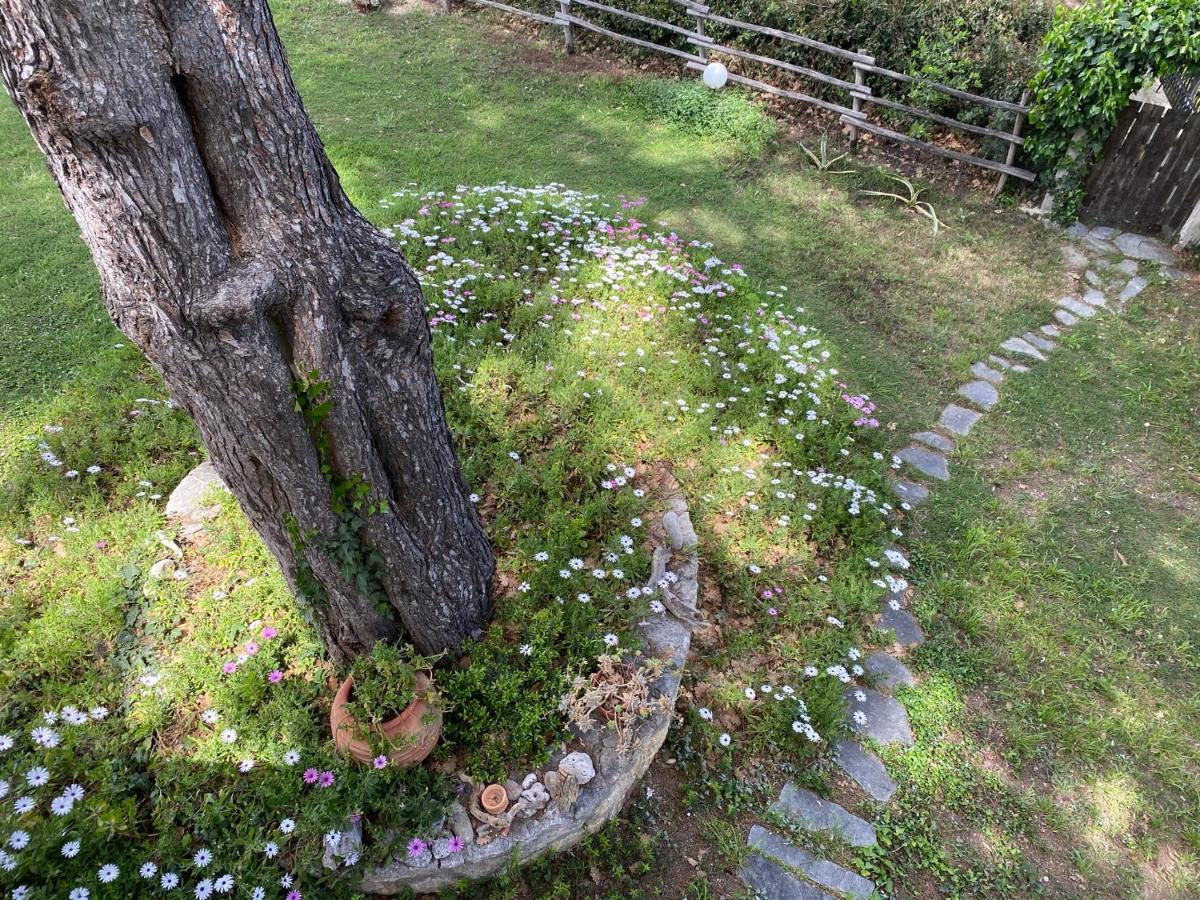 Wild Oaks Cottage クリオピギ エクステリア 写真