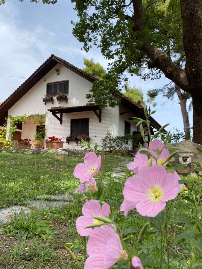 Wild Oaks Cottage クリオピギ エクステリア 写真