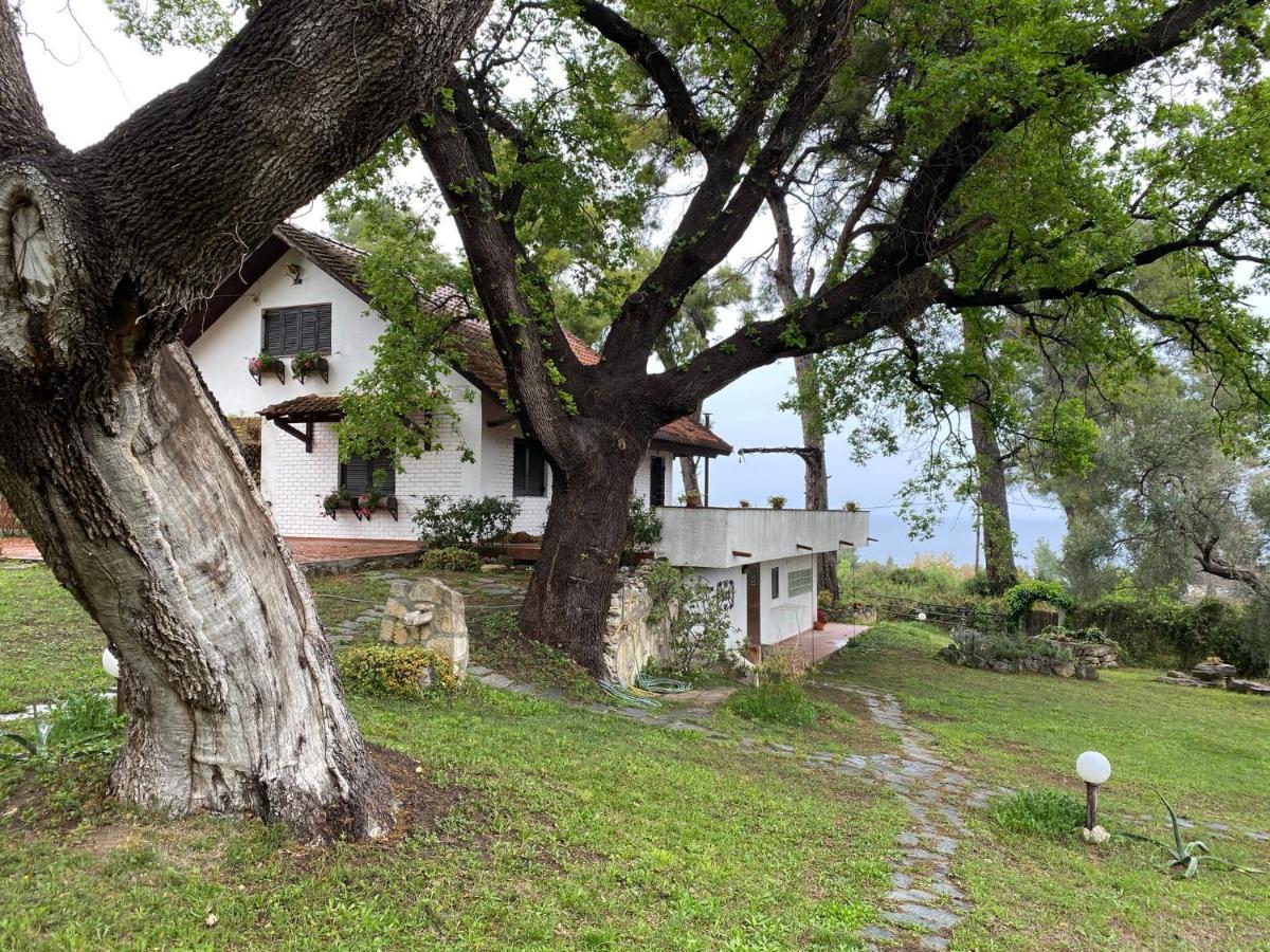 Wild Oaks Cottage クリオピギ エクステリア 写真