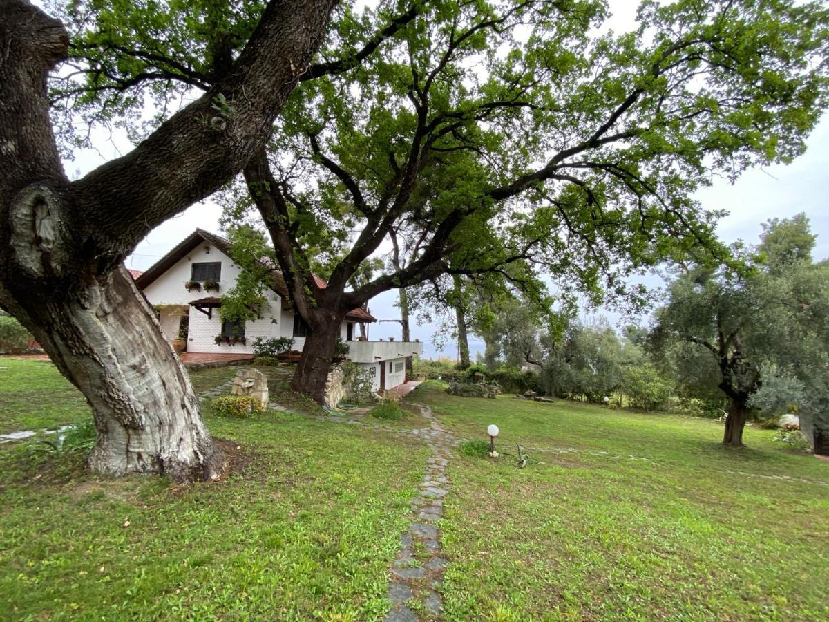 Wild Oaks Cottage クリオピギ エクステリア 写真